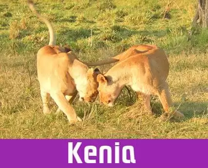 Hoteles Románticos Kenia
