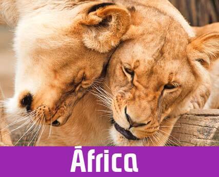 Hoteles Románticos África